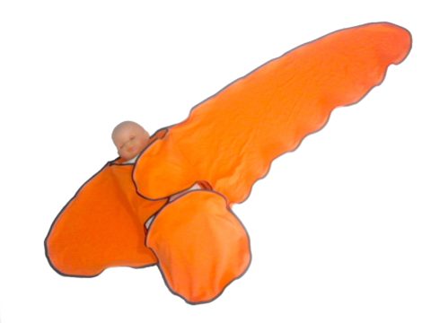 FéDoDo – Image 3