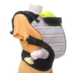 PhysioForm "Standard"
